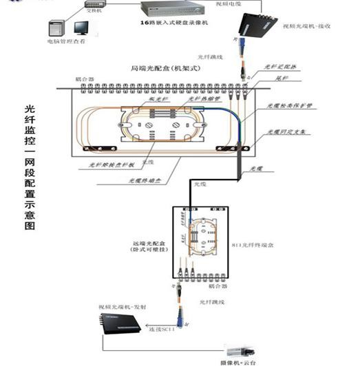 网络拓扑